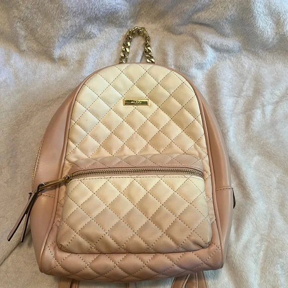 EUC Aldo Ombr Backpack EUC Aldo Ombr Backpack